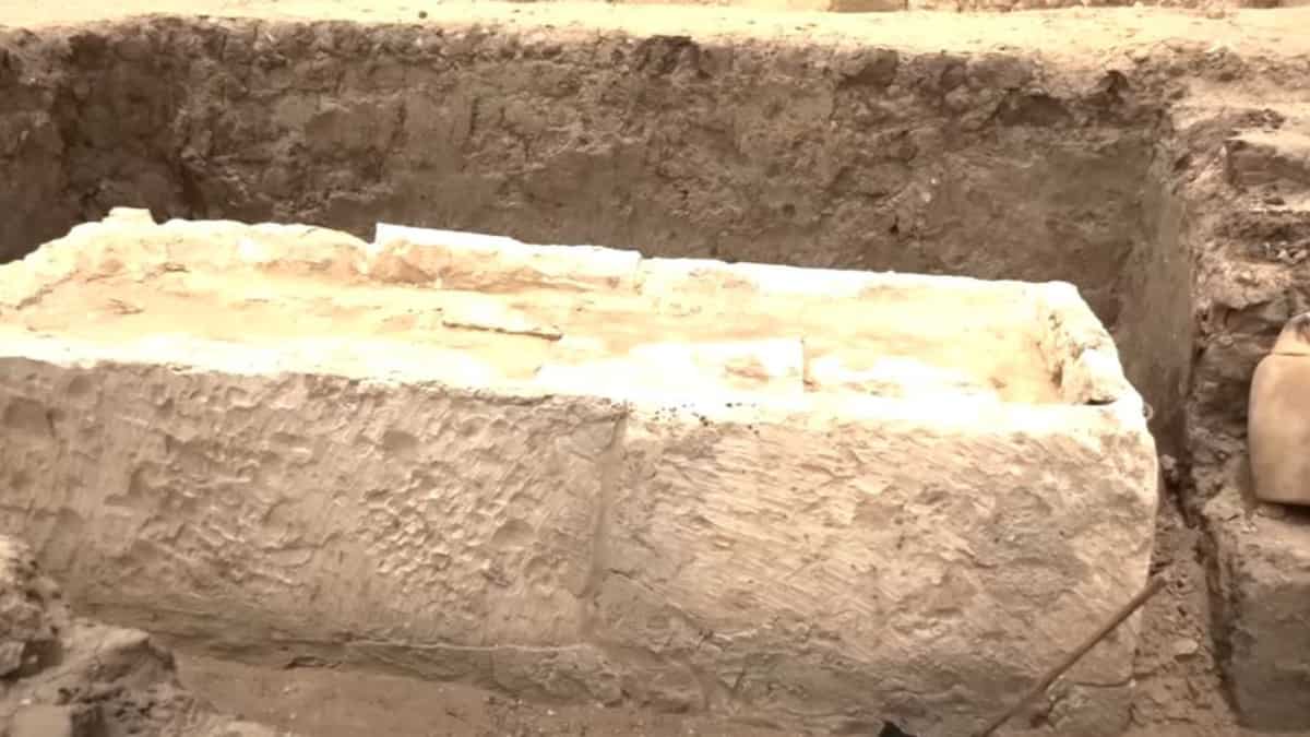 Animal mummification site