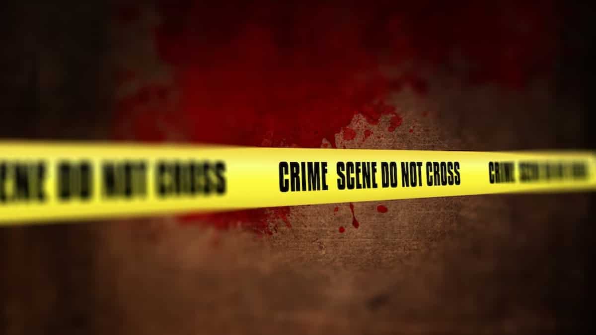 Delhi woman stabs flatmate to death after drunken argument; CM Kejriwal urges Lt. Gov to 'do something'