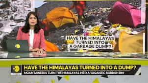 Gravitas: Have the Himalayas turned into a dump?