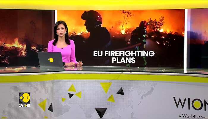 WionNews Video
