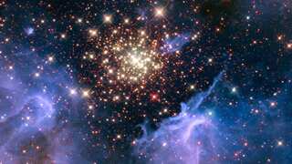 Do aliens live among us? Famous immunologist, Nobel Prize nominee claims they do