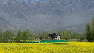 Kashmir tourism at peak as 15-degree temperature becomes key attraction for visitors
