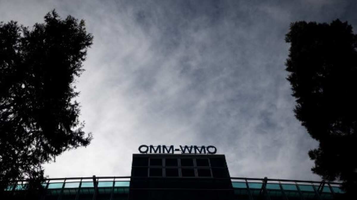 Top future projects of WMO