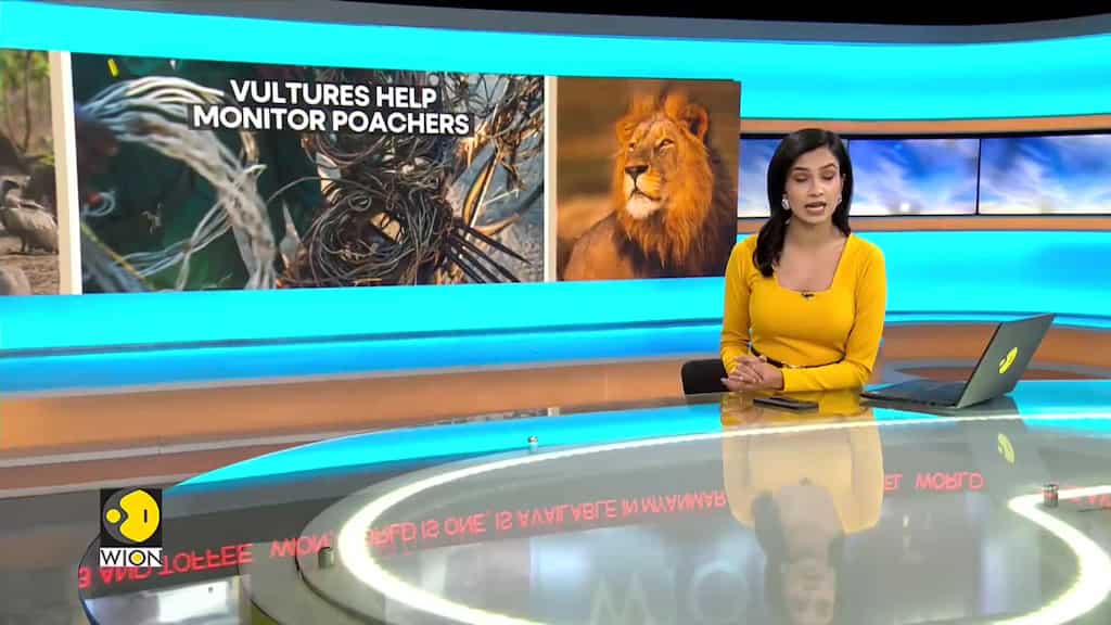 Securing large Carnivores and their prey in Kafue National Park