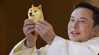 Elon Musk engaged in 'carnival barking' for insider trading: Dogecoin lawsuit