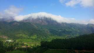 Indian scientists discover 62 plants that can live without water in Western Ghats