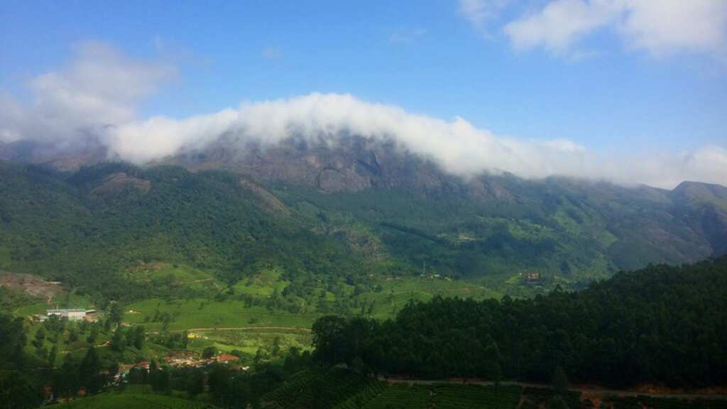 Indian scientists discover 62 plants that can live without water in Western Ghats