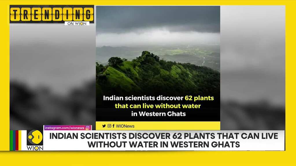 Indian scientists discover 62 plants that can live without water in Western Ghats
