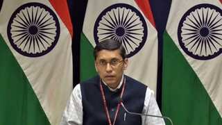 India presses Germany to send back Indian baby in Berlin foster care, calls it ‘infringement of rights’