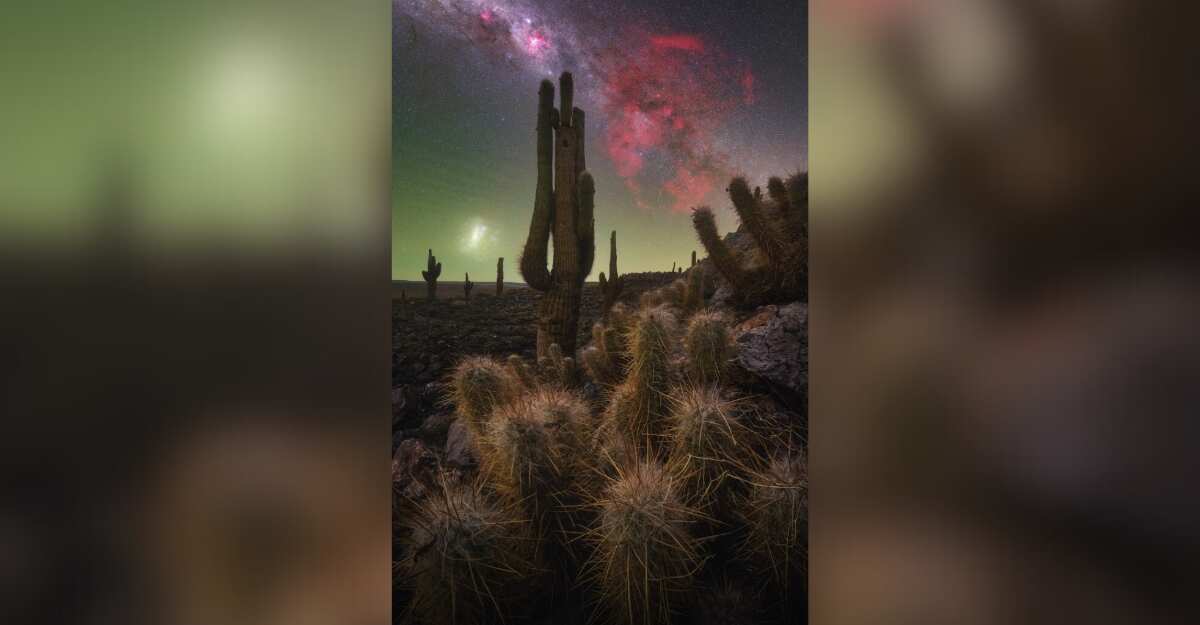 “The Cactus Valley” – Pablo Ruiz García