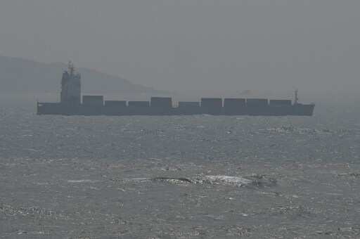 WATCH | US says Chinese Navy ship came 150 yards within American destroyer transiting Taiwan Strait