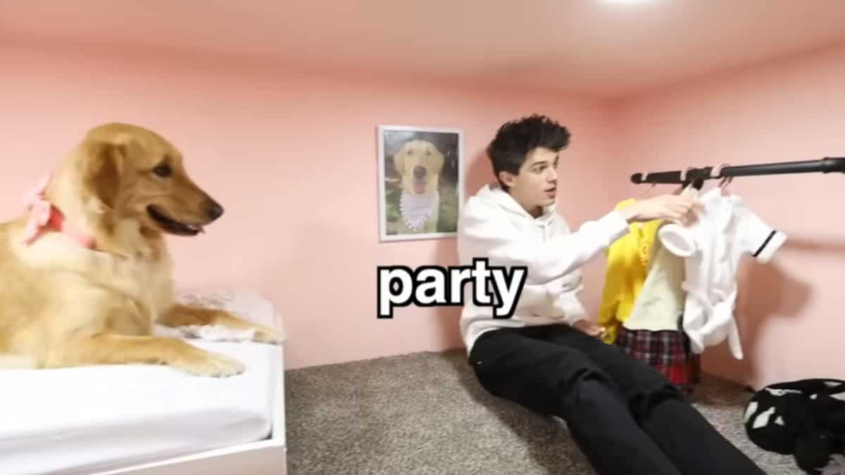 WATCH | Pet dog gets lucky as Youtuber Brent Rivera gifts $20,000 luxury house WATCH | Pet dog gets lucky as Youtuber Brent Rivera gifts $20,000 luxury house
