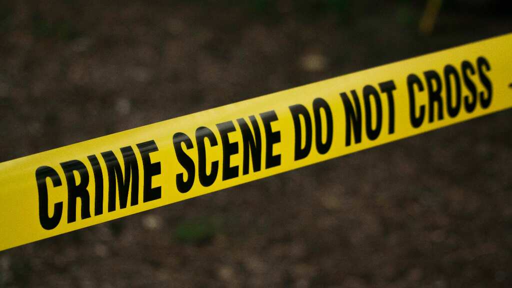 Woman falls in love with man online, tries to kill his wife