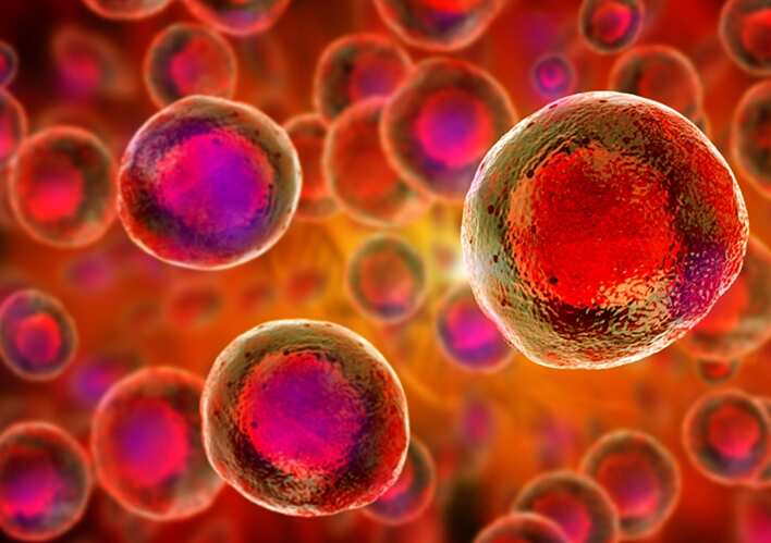 China all set to become first country in world to grow blood stem cells in space