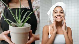 7 ways to add aloe vera to your summer skincare routine