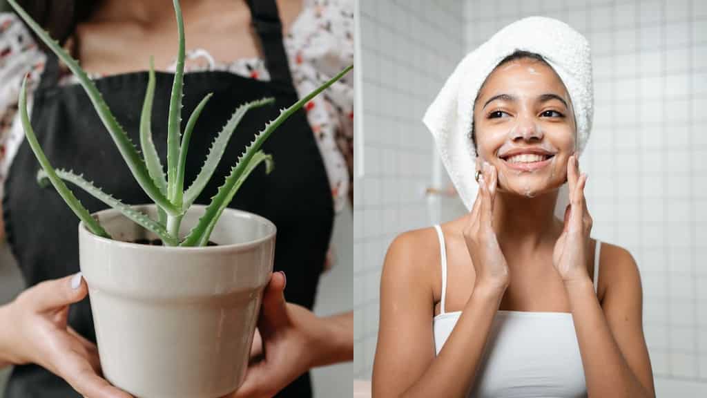 7 ways to add aloe vera to your summer skincare routine