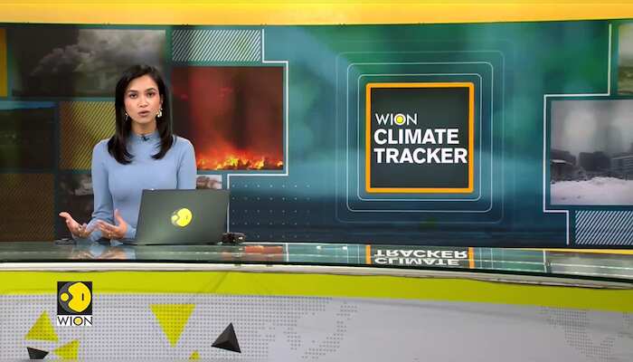 Indonesian ex-poachers restore corals they bombed