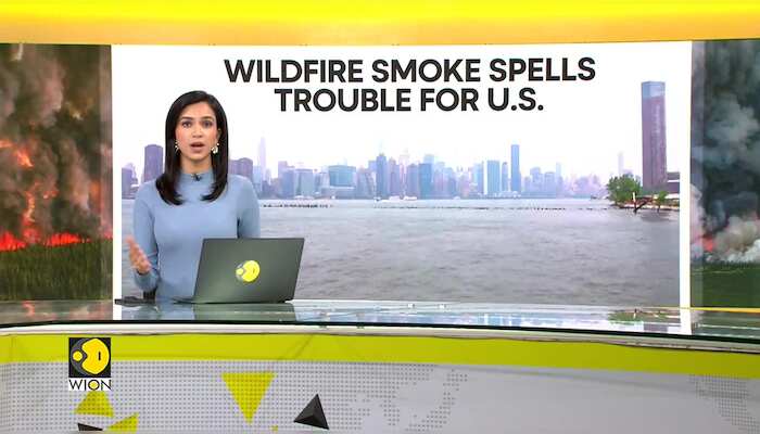 WionNews Video