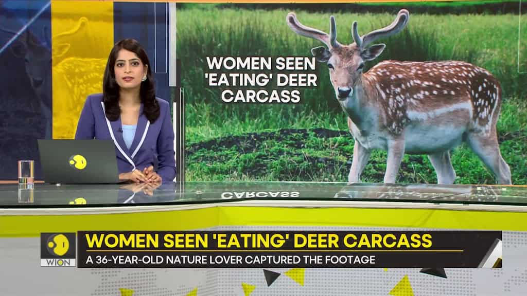 Gravitas: Bizarre footage emerges from Canada