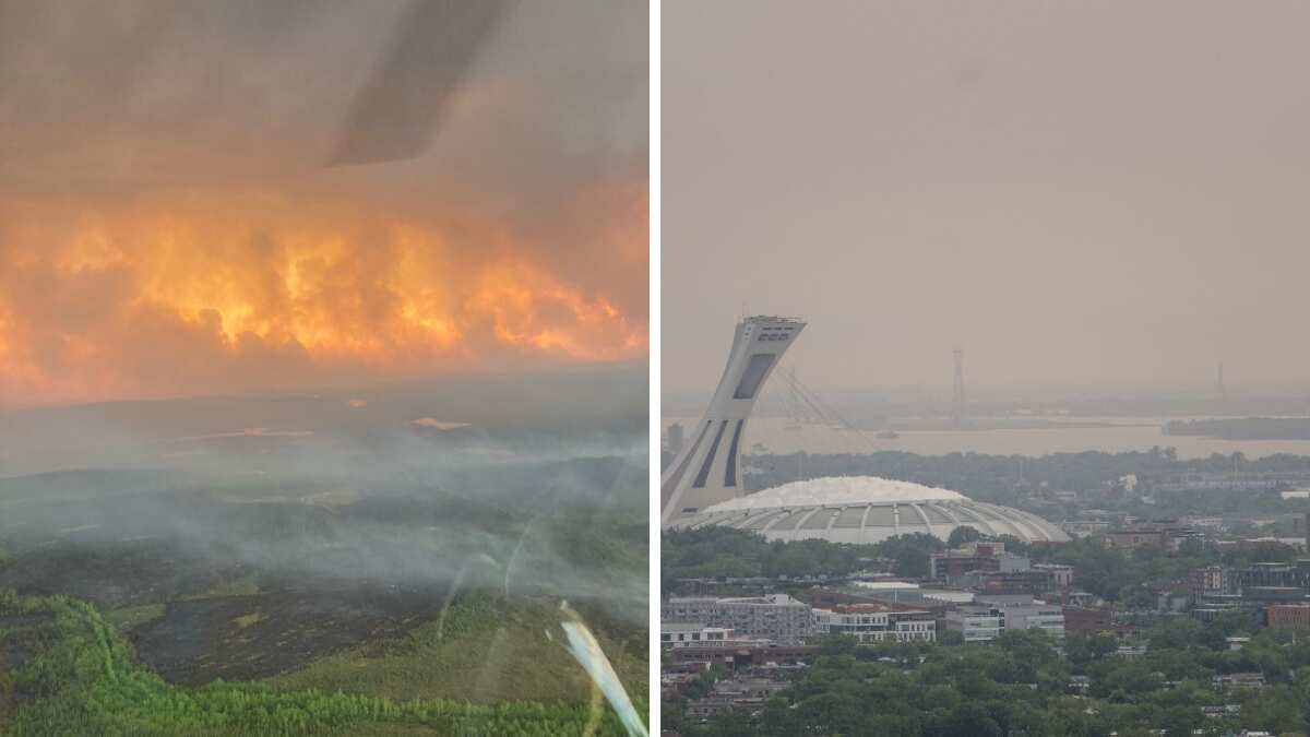 Quebec, the epicentre of Canadian wildfires, awaits reinforcement as thousands flee Quebec, the epicentre of Canadian wildfires, awaits reinforcement as thousands flee