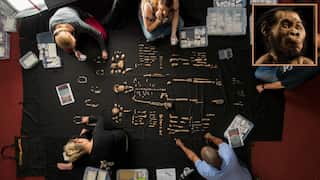 Not homo sapiens but this extinct human species buried their dead first