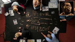 Furor in scientific community over claims that small-brained early humans were intelligent
