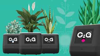 Give your plant a voice! This GIA smart pot will make your leafy friend talk - read more details inside