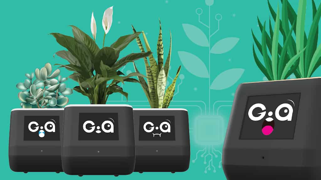 Give your plant a voice! This GIA smart pot will make your leafy friend talk - read more details inside