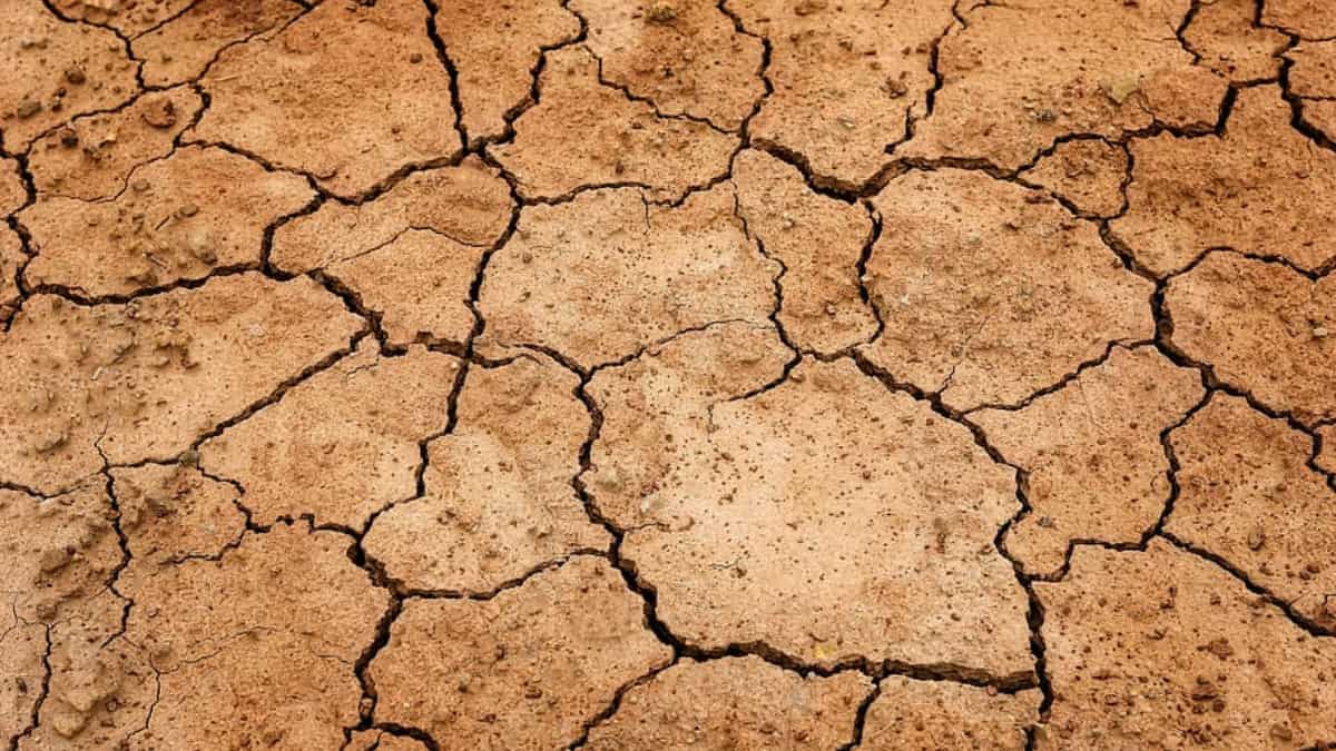 US announces arrival of El Nino, triggering fear of extreme weather conditions US announces arrival of El Nino, triggering fear of extreme weather conditions
