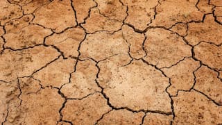 US announces arrival of El Nino, triggering fear of extreme weather conditions