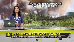 Gravitas: Canada's wildfire smoke terrorises parts of the US
