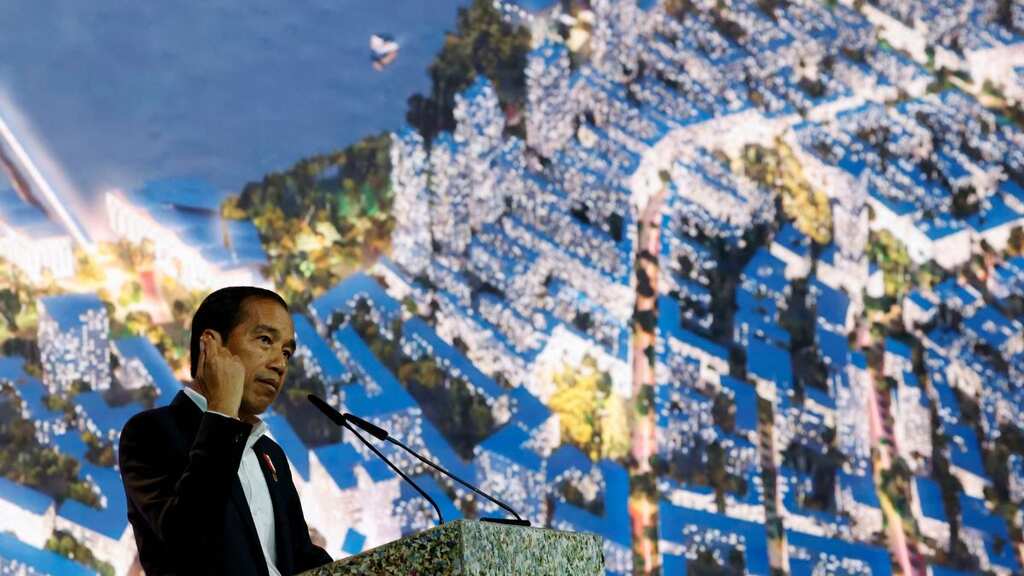Indonesia's parliamentary budget committee approves additional $1 billion for construction of new capital