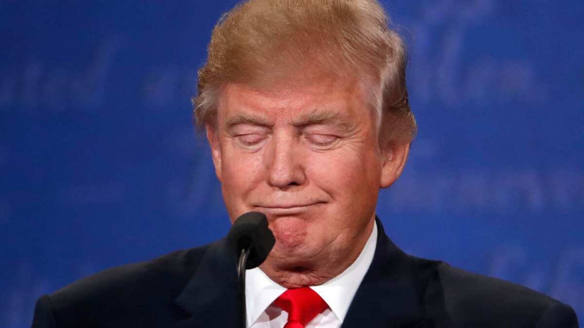 An NYU professor thinks Donald Trump will quit presidential race. Here's why An NYU professor thinks Donald Trump will quit presidential race. Here's why
