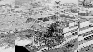 Wolves in Ukraine's Chernobyl area developing resilience to cancer: Report