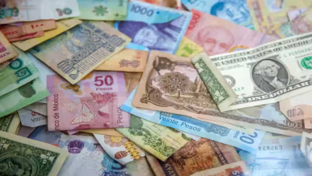 World Wealth Report 2023: India’s stock market surged amid global declines, HNWIs grew against trend