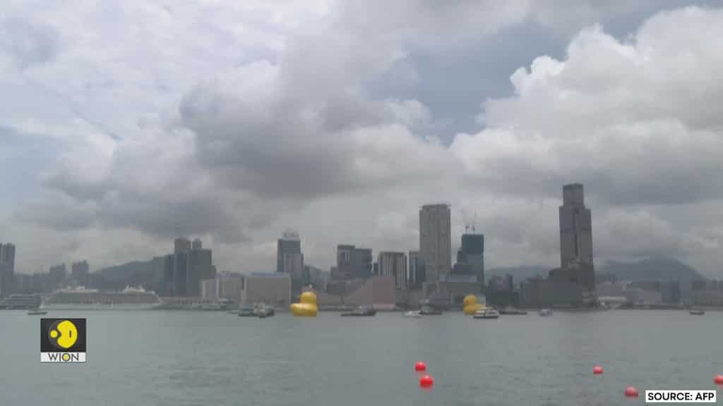Two giant rubber ducks debut in Hong Kong to spread 'double luck