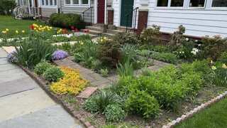 Your garden doesn’t like wildfires, either! Here’s how to help plants handle smoke and ash