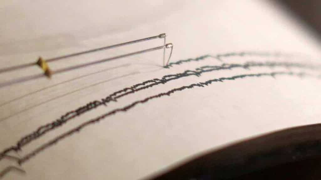 Strong earthquake shakes South Africa's Johannesburg, authorities take note of damage