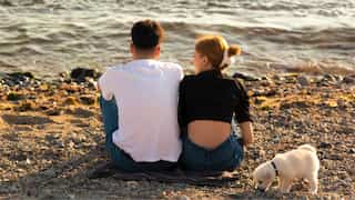 Netherlands town launches 'Project Orange Sun' to prevent sex on the beach
