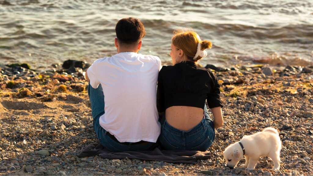 Netherlands town launches 'Project Orange Sun' to prevent sex on the beach