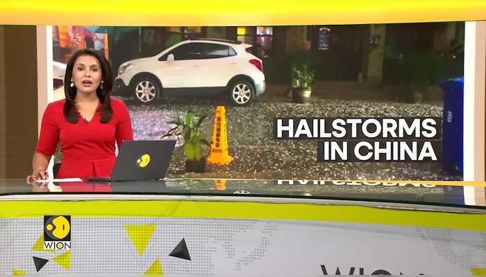 WionNews Video