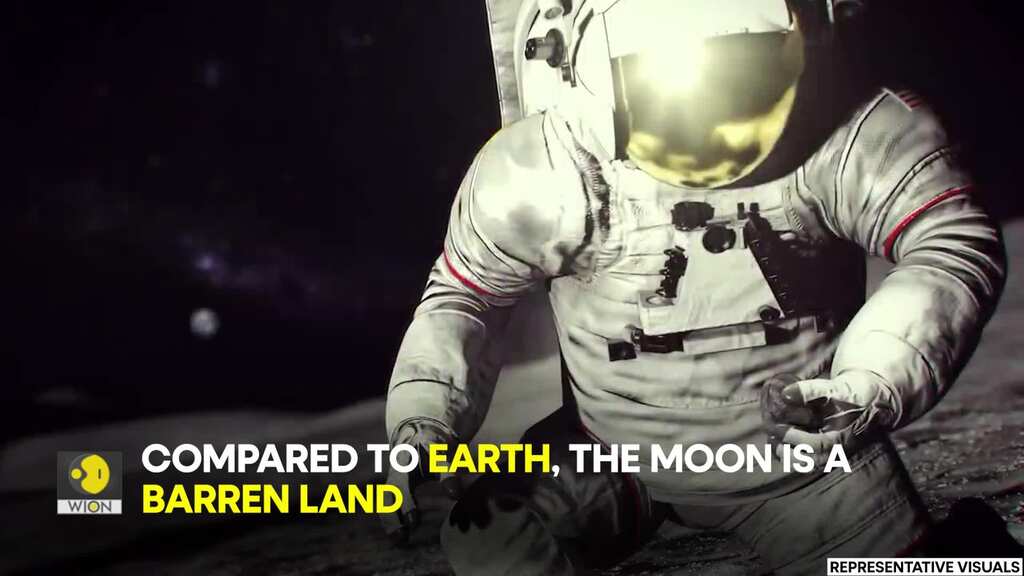 NASA scientist admits that the Moon 'might already have life on it'