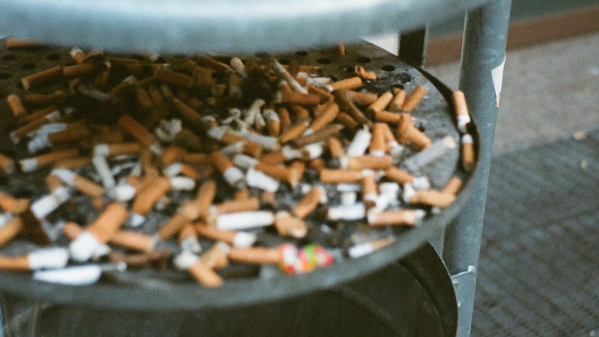 Millions of cigarettes to become ash in South Africa's war against smuggling Millions of cigarettes to become ash in South Africa's war against smuggling