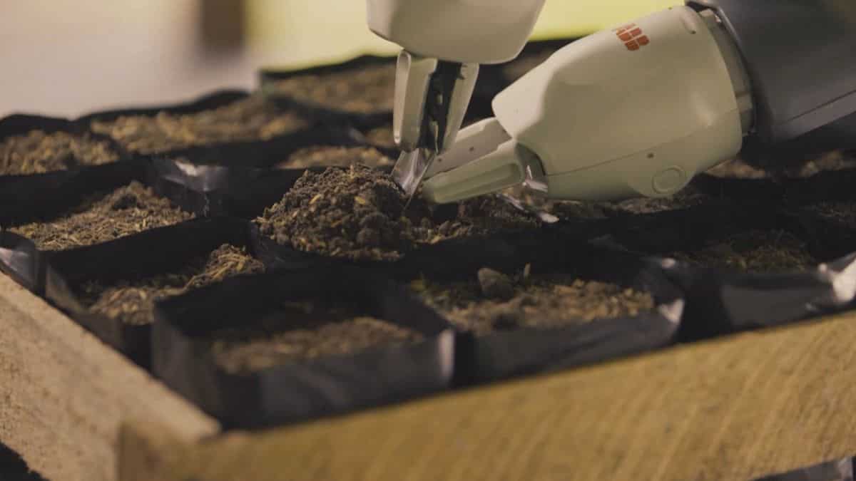Solar-powered robot