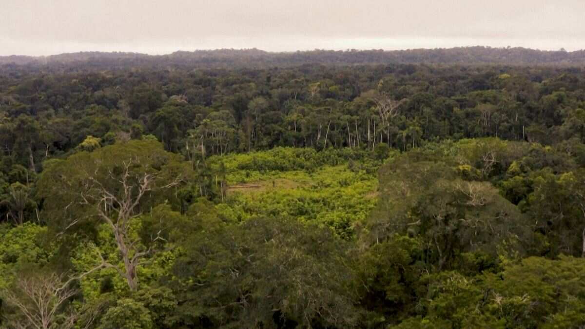 Protecting the Amazon