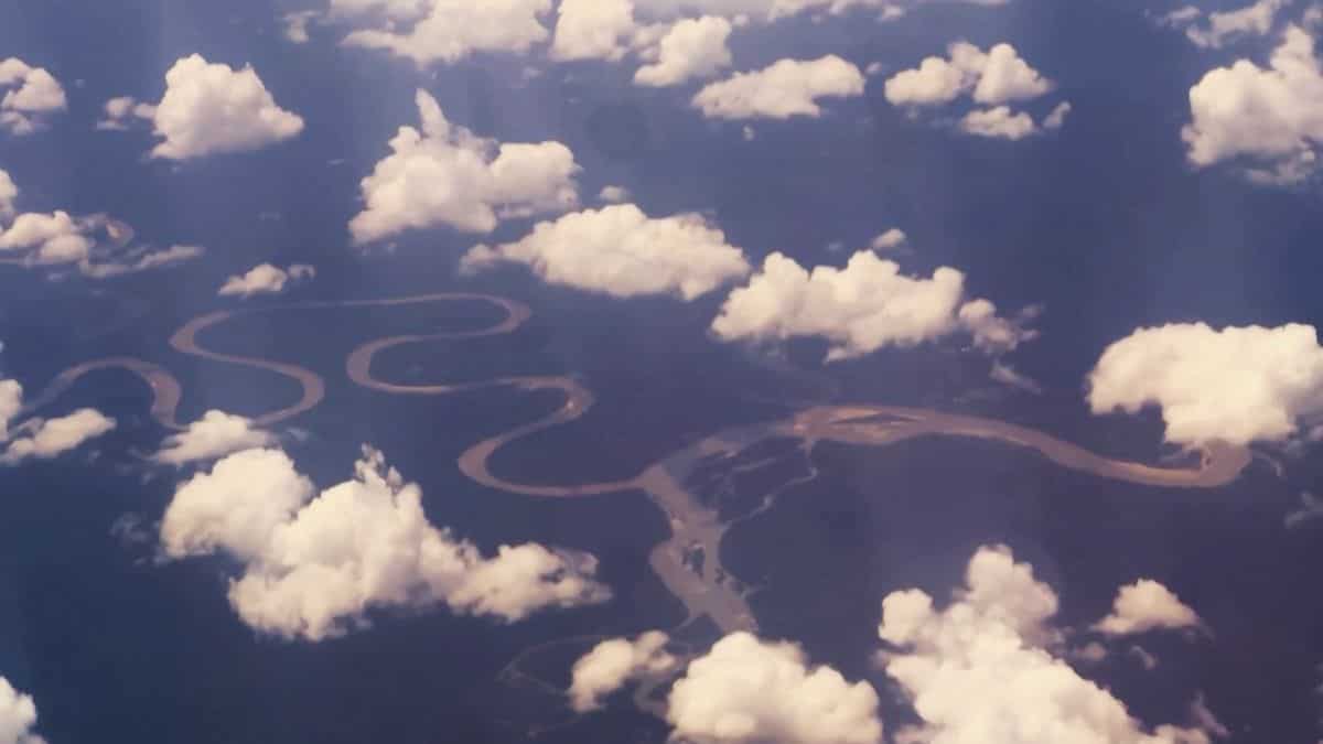 World's largest rainforest