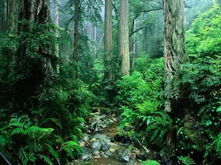 Colombia emerges as most dangerous nation for environmentalists, 60 murdered in 2022