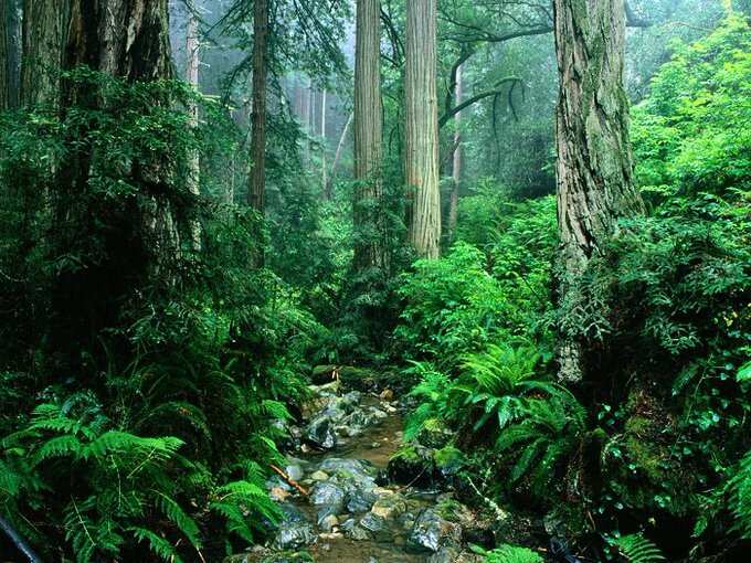 Colombia emerges as most dangerous nation for environmentalists, 60 murdered in 2022