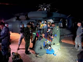 Rescue dog that helped find four lost children in Colombian Amazon goes missing