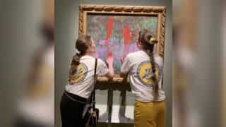 WATCH | Climate activists smear paint over Monet painting in Stockholm